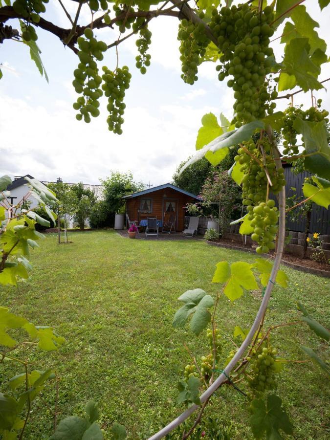 Ferienwohnung Christel Lorenz Merzig Kültér fotó